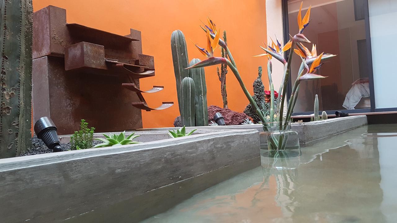 Coyoacan - Inn Mexico City Exterior photo