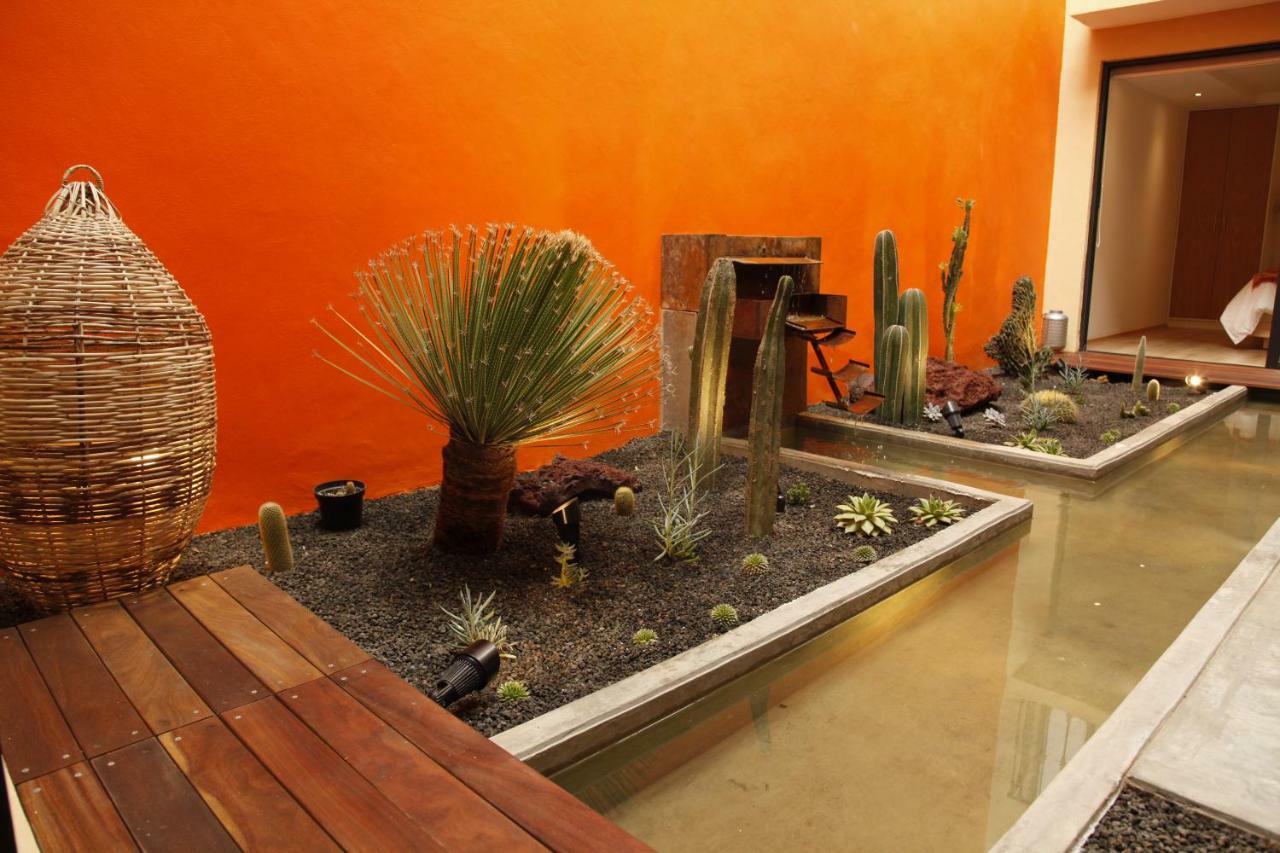 Coyoacan - Inn Mexico City Exterior photo